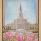 Houston Temple Sacred Haven