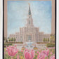 Houston Temple Sacred Haven