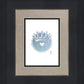 2 Crowns AZURE