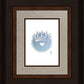 2 Crowns AZURE