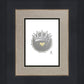 2 Crowns GRAPHITE