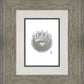 2 Crowns GRAPHITE