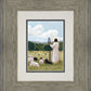 The Good Shepherd in Summer
