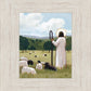 The Good Shepherd in Summer