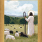 The Good Shepherd in Summer