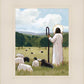 The Good Shepherd in Summer