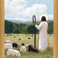 The Good Shepherd in Summer