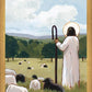 The Good Shepherd in Summer