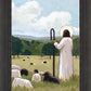 The Good Shepherd in Summer