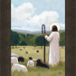 The Good Shepherd in Summer