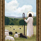The Good Shepherd in Summer