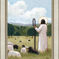 The Good Shepherd in Summer