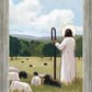 The Good Shepherd in Summer