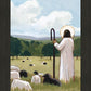 The Good Shepherd in Summer