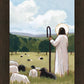 The Good Shepherd in Summer