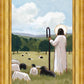 The Good Shepherd in Summer