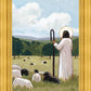 The Good Shepherd in Summer