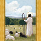 The Good Shepherd in Summer