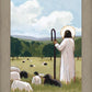 The Good Shepherd in Summer