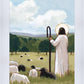The Good Shepherd in Summer