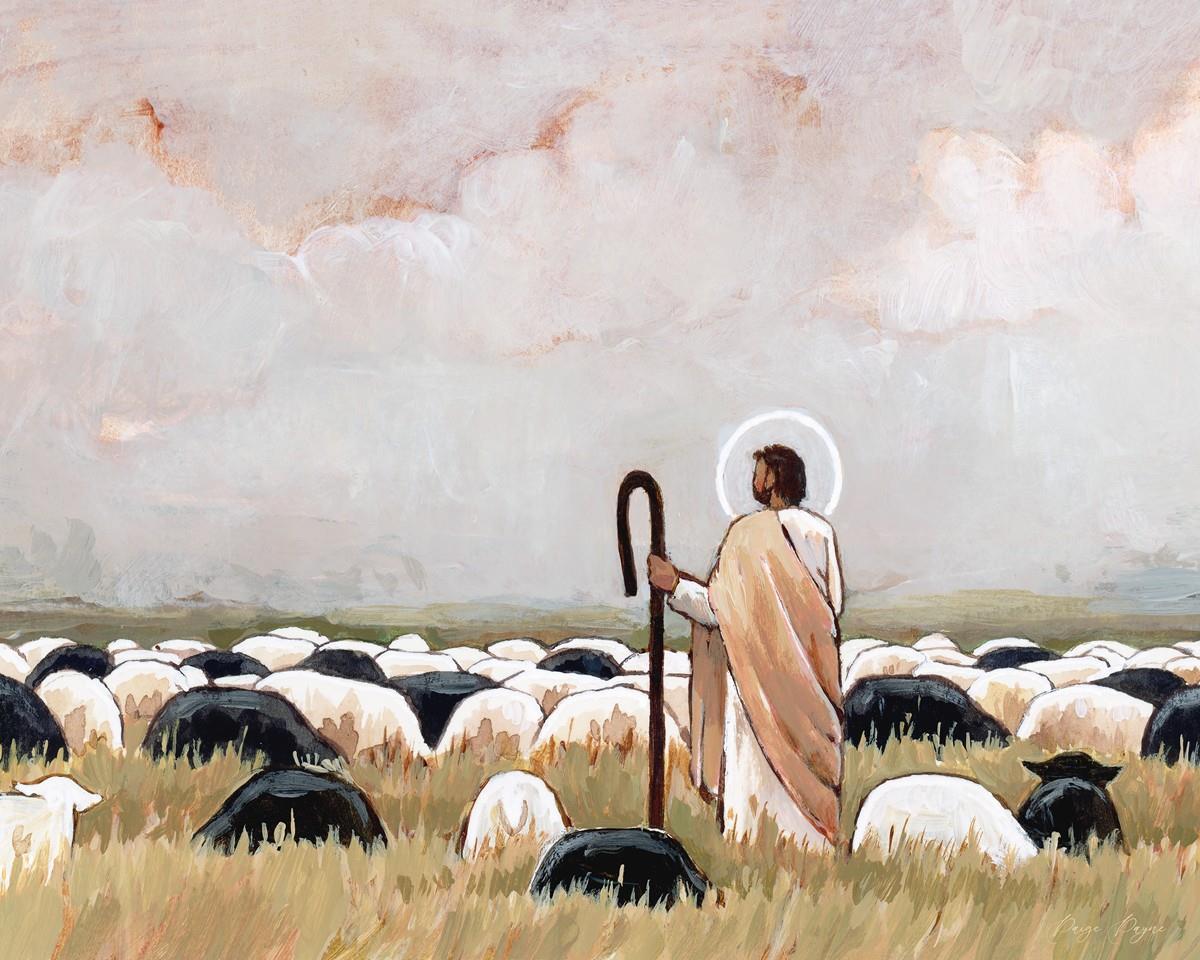 Our Steadfast Shepherd Gallery Wrap