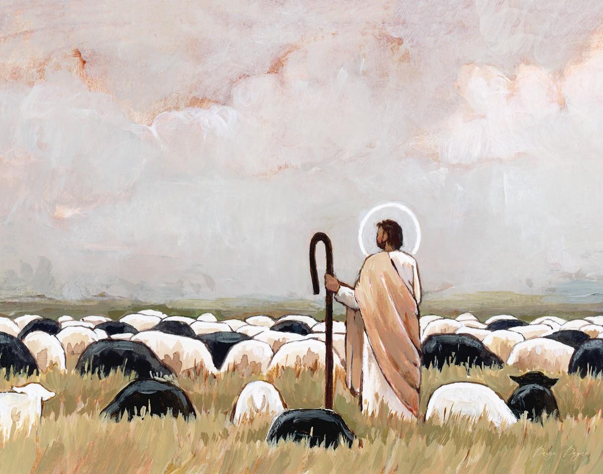 Our Steadfast Shepherd Gallery Wrap