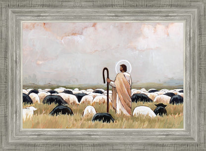 Our Steadfast Shepherd