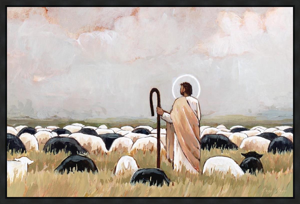 Our Steadfast Shepherd Gallery Wrap