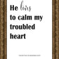 He Lives to Calm