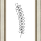 Minimalist Stem White