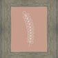 Minimalist Stem Pink