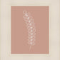 Minimalist Stem Pink