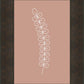 Minimalist Stem Pink