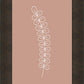 Minimalist Stem Pink