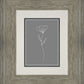 Minimalist Flower Gray