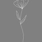 Minimalist Flower Gray