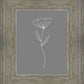 Minimalist Flower Gray