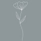 Minimalist Flower Blue