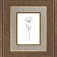 Minimalist Flower White