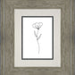 Minimalist Flower White
