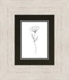 Minimalist Flower White