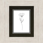 Minimalist Flower White