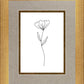Minimalist Flower White
