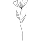 Minimalist Flower White