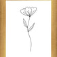 Minimalist Flower White