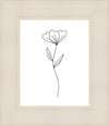 Minimalist Flower White