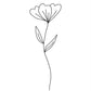 Minimalist Flower White