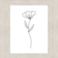 Minimalist Flower White