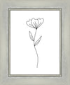 Minimalist Flower White