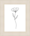 Minimalist Flower White